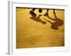 Low Section View of Two People Playing Basketball-null-Framed Photographic Print