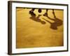 Low Section View of Two People Playing Basketball-null-Framed Photographic Print