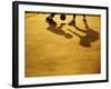 Low Section View of Two People Playing Basketball-null-Framed Photographic Print