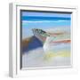 Low Tide 2-Craig Trewin Penny-Framed Art Print