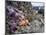 Low Tide at Point of Arches, Olympic National Park, Washington, USA-Gary Luhm-Mounted Photographic Print