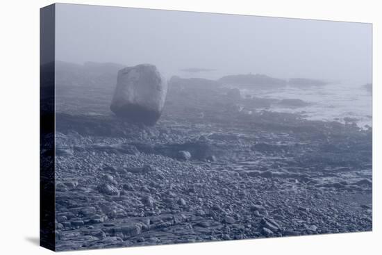 Low Tide Bar Harbor ME-Steve Gadomski-Stretched Canvas