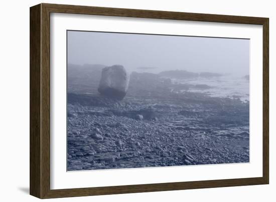 Low Tide Bar Harbor ME-Steve Gadomski-Framed Photographic Print