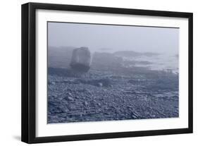 Low Tide Bar Harbor ME-Steve Gadomski-Framed Photographic Print
