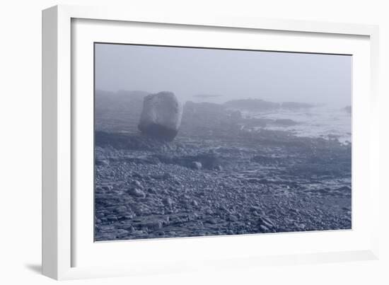 Low Tide Bar Harbor ME-Steve Gadomski-Framed Photographic Print