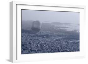 Low Tide Bar Harbor ME-Steve Gadomski-Framed Photographic Print