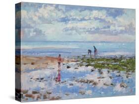 Low Tide Charmouth, 2012-Christopher Glanville-Stretched Canvas