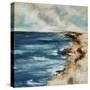 Low Tide III-Sydney Edmunds-Stretched Canvas