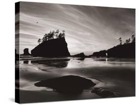 Low Tide Morning-Brett Aniballi-Stretched Canvas