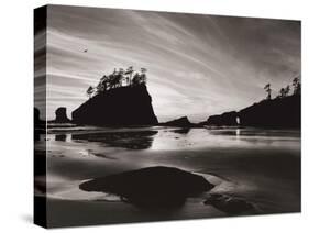 Low Tide Morning-Brett Aniballi-Stretched Canvas