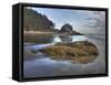 Low Tide, Olympic National Park, Washington, USA-Tom Norring-Framed Stretched Canvas