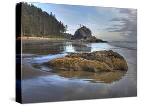 Low Tide, Olympic National Park, Washington, USA-Tom Norring-Stretched Canvas