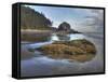 Low Tide, Olympic National Park, Washington, USA-Tom Norring-Framed Stretched Canvas