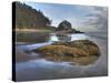 Low Tide, Olympic National Park, Washington, USA-Tom Norring-Stretched Canvas