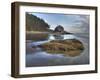 Low Tide, Olympic National Park, Washington, USA-Tom Norring-Framed Photographic Print