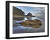 Low Tide, Olympic National Park, Washington, USA-Tom Norring-Framed Photographic Print