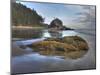 Low Tide, Olympic National Park, Washington, USA-Tom Norring-Mounted Photographic Print