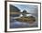 Low Tide, Olympic National Park, Washington, USA-Tom Norring-Framed Photographic Print