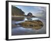 Low Tide, Olympic National Park, Washington, USA-Tom Norring-Framed Photographic Print