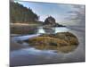 Low Tide, Olympic National Park, Washington, USA-Tom Norring-Mounted Photographic Print