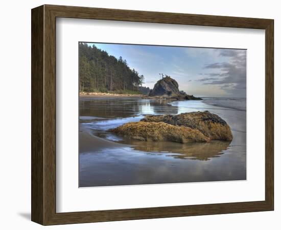 Low Tide, Olympic National Park, Washington, USA-Tom Norring-Framed Photographic Print