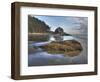 Low Tide, Olympic National Park, Washington, USA-Tom Norring-Framed Photographic Print