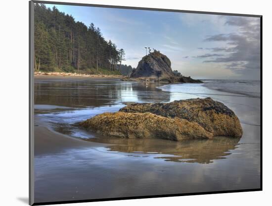 Low Tide, Olympic National Park, Washington, USA-Tom Norring-Mounted Photographic Print