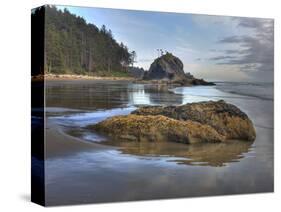 Low Tide, Olympic National Park, Washington, USA-Tom Norring-Stretched Canvas