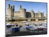 Low Tide on River Seiont at Caernarfon Castle, UNESCO World Heritage Site, Gwynedd, Wales, UK-Chris Hepburn-Mounted Photographic Print