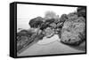 Low Tide, Pacific Ocean, Northern California, Trinidad-Rob Sheppard-Framed Stretched Canvas