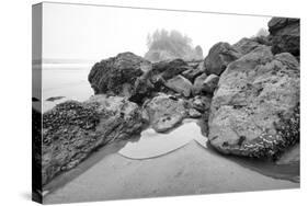 Low Tide, Pacific Ocean, Northern California, Trinidad-Rob Sheppard-Stretched Canvas