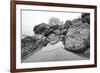 Low Tide, Pacific Ocean, Northern California, Trinidad-Rob Sheppard-Framed Photographic Print