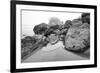 Low Tide, Pacific Ocean, Northern California, Trinidad-Rob Sheppard-Framed Photographic Print