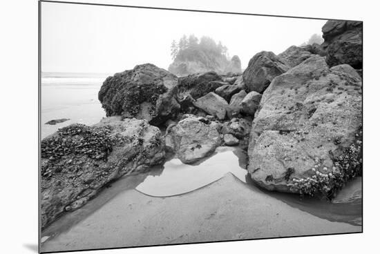 Low Tide, Pacific Ocean, Northern California, Trinidad-Rob Sheppard-Mounted Photographic Print