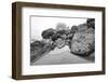 Low Tide, Pacific Ocean, Northern California, Trinidad-Rob Sheppard-Framed Premium Photographic Print