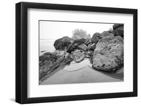 Low Tide, Pacific Ocean, Northern California, Trinidad-Rob Sheppard-Framed Premium Photographic Print