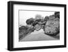 Low Tide, Pacific Ocean, Northern California, Trinidad-Rob Sheppard-Framed Photographic Print