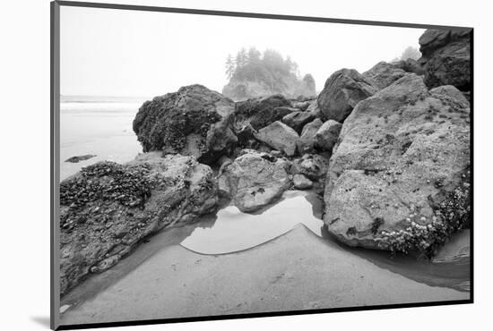 Low Tide, Pacific Ocean, Northern California, Trinidad-Rob Sheppard-Mounted Photographic Print