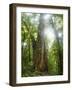 Low Tide Sunset on Playa Linda near Dominical-Stefano Amantini-Framed Photographic Print