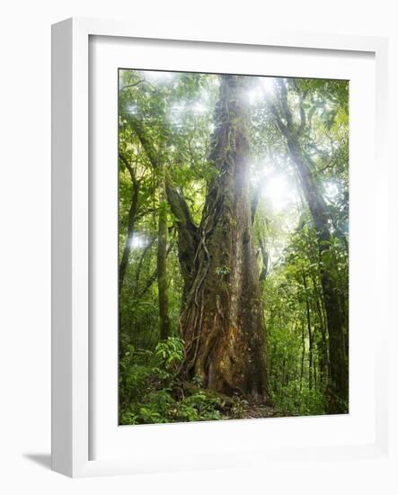 Low Tide Sunset on Playa Linda near Dominical-Stefano Amantini-Framed Photographic Print