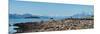 Low tide walk at beach, Southeast Alaska, Alaska, USA-null-Mounted Photographic Print