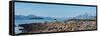 Low tide walk at beach, Southeast Alaska, Alaska, USA-null-Framed Stretched Canvas