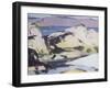 Low Tide-Francis Campbell Boileau Cadell-Framed Giclee Print