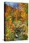 Low Water Brook Autumn-Robert Goldwitz-Stretched Canvas