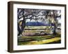 Lowcountry Spanish Moss Escape-Lucy P. McTier-Framed Giclee Print