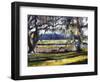 Lowcountry Spanish Moss Escape-Lucy P. McTier-Framed Giclee Print