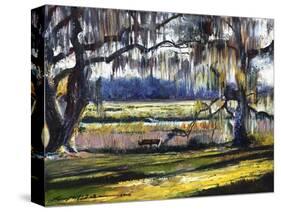 Lowcountry Spanish Moss Escape-Lucy P. McTier-Stretched Canvas