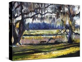 Lowcountry Spanish Moss Escape-Lucy P. McTier-Stretched Canvas