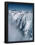 Essential Black