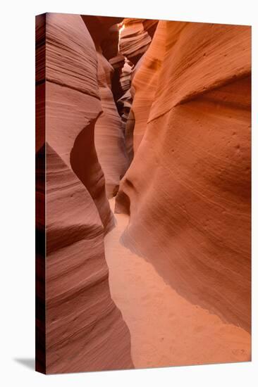 Lower Antelope Canyon, Near Page, Arizona, United States of America, North America-Gary-Stretched Canvas